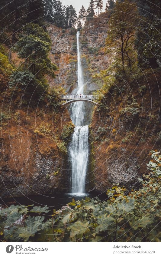Multnomah Falls, Kolumbien, USA Landschaft Wasser Schlucht Fluss schön Wasserfall Oregon Wald grün Natur Kaskade Stürze Beautyfotografie Klippe Tourismus