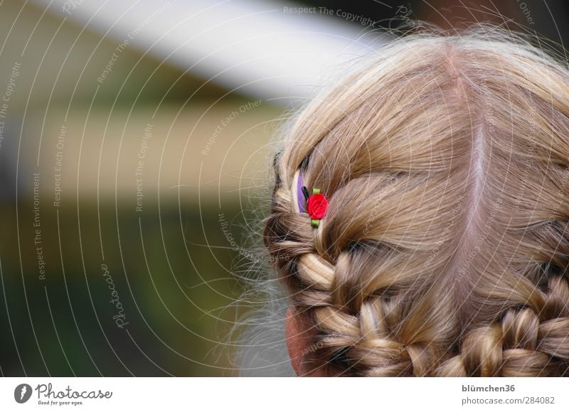 weiblich | festlich Stil schön Mensch feminin Mädchen Jugendliche Kopf Haare & Frisuren 1 Accessoire blond langhaarig Zopf gehorsam Tourismus Tradition