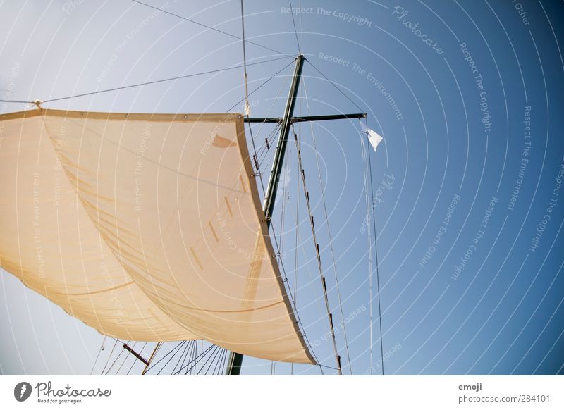 Luft Umwelt Natur Himmel nur Himmel Wolkenloser Himmel Sommer Wind hell blau Segeln Segelboot Segelschiff Tuch Farbfoto Außenaufnahme Menschenleer