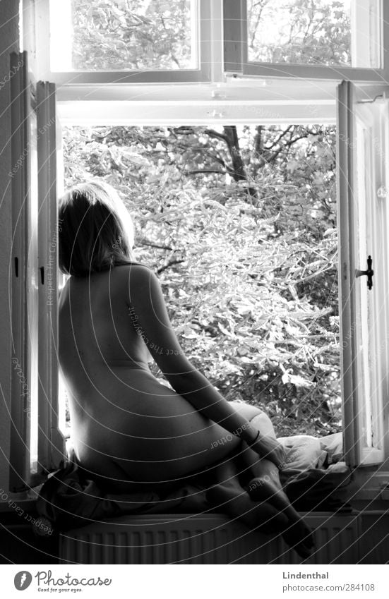 Frau im Fenster (2) nackt Weiblicher Akt edel Blick Außenaufnahme Baum Blatt Schwache Tiefenschärfe Unschärfe elegant Rücken Gesäß Erholung Pause ausruhend Haut