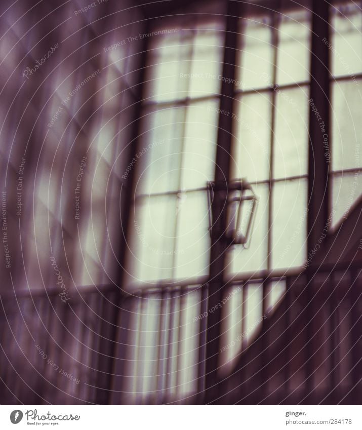 UT Köln | Die schöne Erhabenheit der düsteren Markthalle Gebäude Halle Traurigkeit Einsamkeit gefangen Gitter Fenster Laterne Empore diffus dunkel Ausweg
