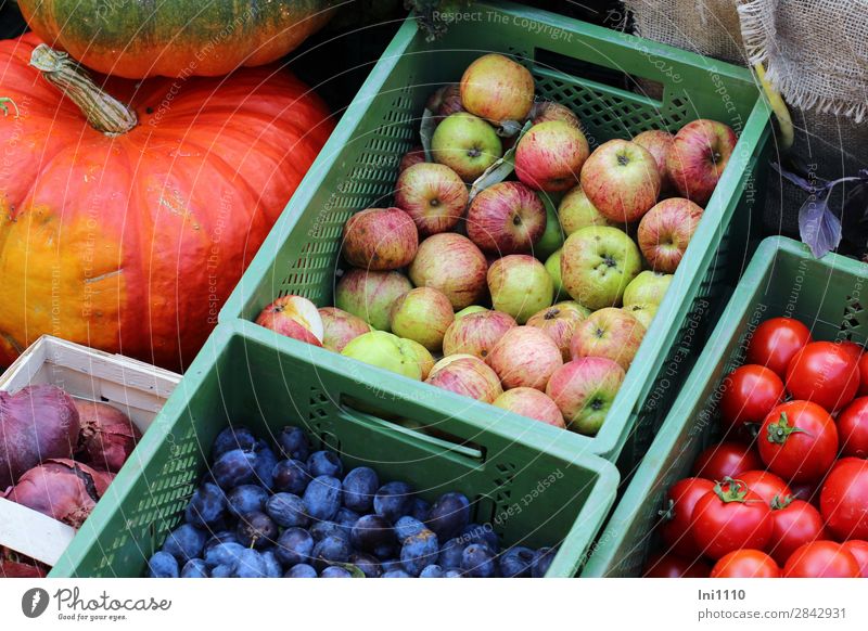 Wochenmarkt Lebensmittel Gemüse Frucht Apfel Ernährung blau mehrfarbig gelb grün orange rosa rot Gemüsemarkt Gemüsehändler Obstkiste Obst- oder Gemüsestand