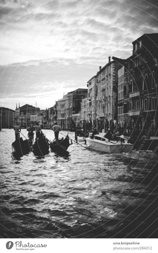 gondola gondola Tourismus Menschengruppe Wasser Kanal Canal Grande Venedig Italien Haus Bootsfahrt Gondel (Boot) Anlegestelle Schwimmen & Baden fließen