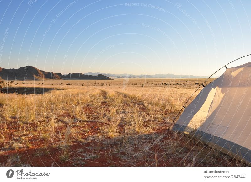 Camp in der Namib Ferien & Urlaub & Reisen Freiheit Safari Camping Natur Landschaft Wolkenloser Himmel Sonnenaufgang Sonnenuntergang Schönes Wetter Wärme Wüste