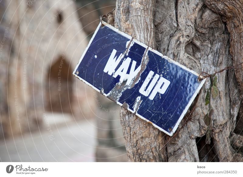 WAY UP Wirtschaft Business Karriere Erfolg Baum Holz Metall Zeichen Schriftzeichen Schilder & Markierungen hängen alt nachhaltig trashig blau braun weiß