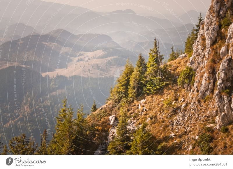 Blick in die Ferne Umwelt Natur Landschaft Pflanze Herbst Schönes Wetter Baum Gras Felsen Wald Berge u. Gebirge Berghang Aussicht Rumänien Siebenbürgen Karpaten