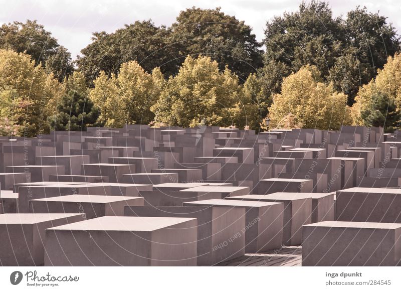 Erinnerung Berlin erinnern Denkmal Holocaustgedenkstätte Trauer Deutschland Farbfoto Außenaufnahme Menschenleer Tag Sonnenlicht Starke Tiefenschärfe