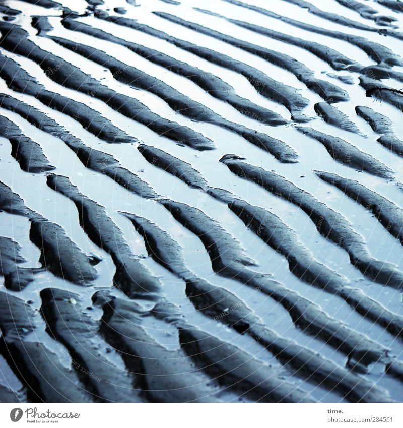 Lebenslinien #49 Umwelt Erde Sand Wasser Schönes Wetter Küste Bucht Wattenmeer authentisch Flüssigkeit nass natürlich blau schwarz silber Stimmung schön