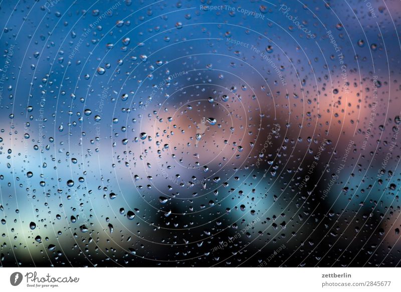 Regen Dämmerung Fenster Fensterscheibe Herbst nass Natur Niederschlag Orkan Park Regenwasser Wassertropfen Scheibe Sonnenuntergang Sturm Tropfen Wald Wetter