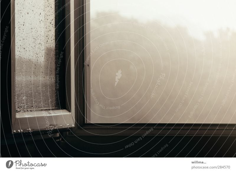 Regen-Tristesse am offenen Fenster kalt trist grau Langeweile Traurigkeit Verzweiflung Frustration Stimmung Fensterblick Fensterscheibe lüften Oktober