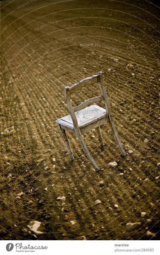 Der einsame Stuhl Studium Kunst Ausstellung Theaterschauspiel Kultur Erde Feld Holz sitzen warten geduldig ruhig bescheiden Einsamkeit verstört Senior bizarr