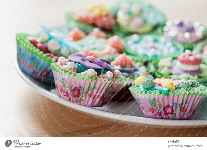 Zuckerwelt Muffins Cupcakes Dessert Speise Essen Foodfotografie süß Süßwaren Dekoration & Verzierung Schokolade Lebensmittel lecker Essen zubereiten trendy