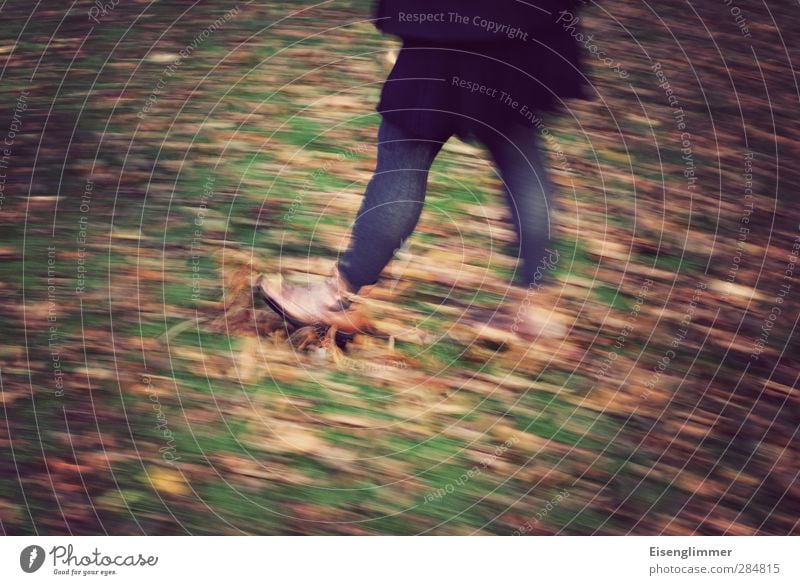 [wpt HH 10.12] Laubspaziergang feminin Frau Erwachsene Beine Fuß Mensch 30-45 Jahre Herbst Blatt Wiese Schuhe Rock Strumpfhose kalt Freude Ausgelassenheit