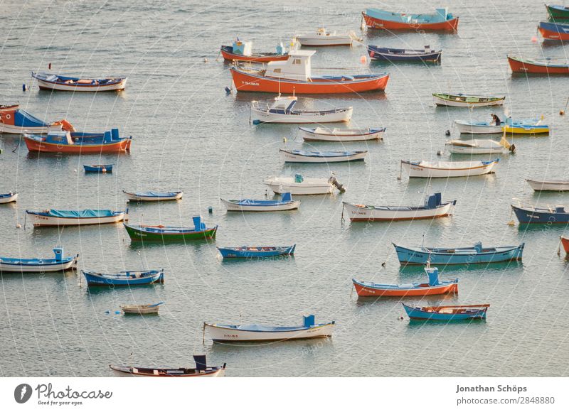 Boote vor Teneriffa Wasserfahrzeug Meer Fischerboot Muster viele Bootsfahrt Hafen Sommer mehrfarbig Menschenleer Kanu rot blau Ferien & Urlaub & Reisen Erholung