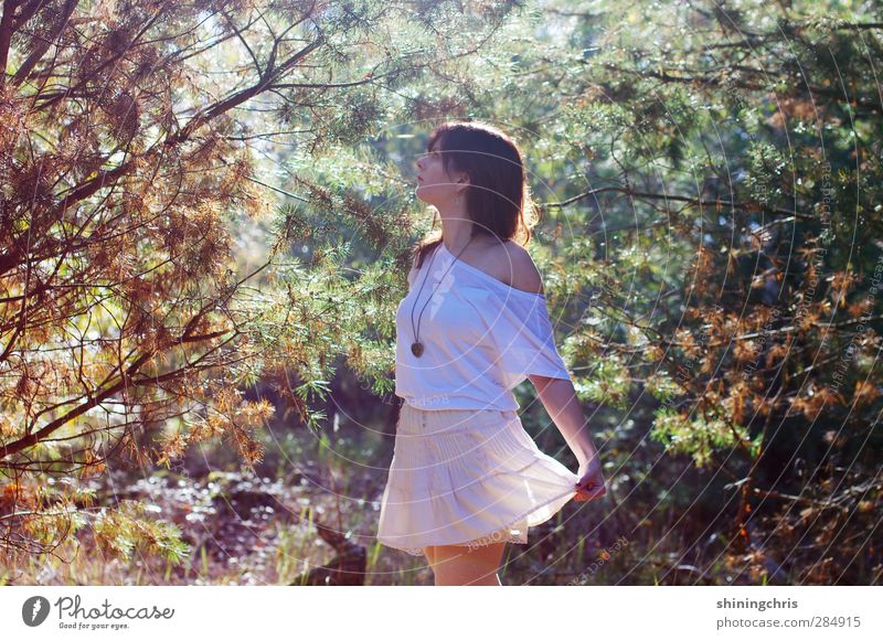 fairy tale feminin Junge Frau Jugendliche Erwachsene 1 Mensch 18-30 Jahre 30-45 Jahre Umwelt Natur Sonnenlicht Schönes Wetter Baum Wald Mode T-Shirt Rock