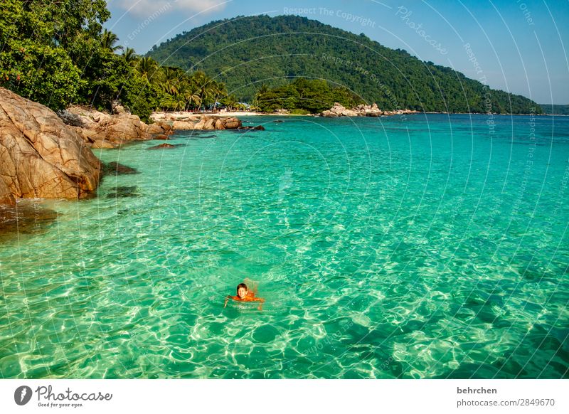 schwimmen im meer Korallenriff Schwimmen & Baden Spielen Kindheit Junge entspannen erholen Romantik Palme Malaysia Felsen Erholung Trauminsel Landschaft