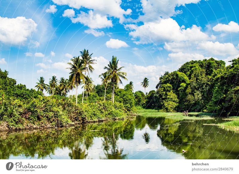 malaysia paradiesisch Fernweh Idylle ruhig Reflexion & Spiegelung genießen träumen schön fantastisch exotisch Erholung Malaysia Kota Bharu Fluss Palme