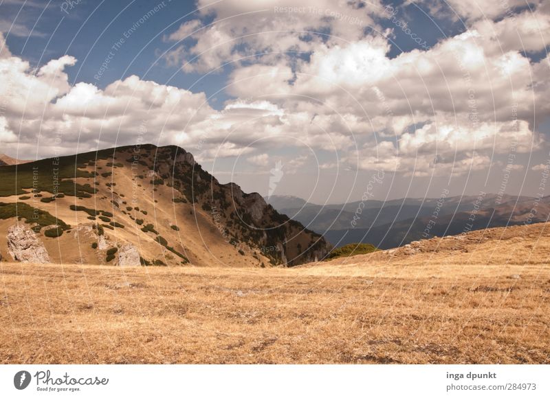 Oben! Umwelt Natur Landschaft Pflanze Gras Sträucher Berge u. Gebirge Gipfel Hochebene Plataeu Rumänien Siebenbürgen Karpaten Abenteuer Tourismus Umweltschutz