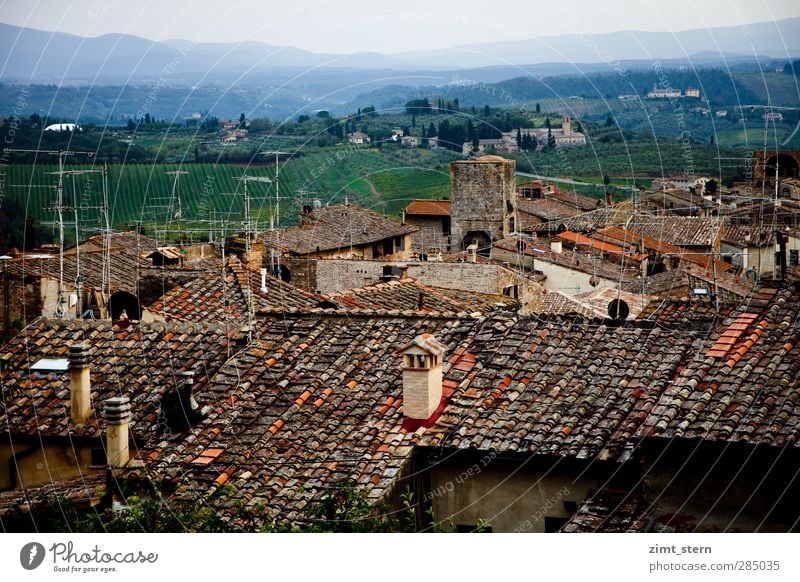 Dächer über S.G. Sommerurlaub Toskana San Gimignano Italien Kunst Landschaft Sonnenaufgang Sonnenuntergang Hügel Weinberg Dorf Altstadt Haus Dach Antenne