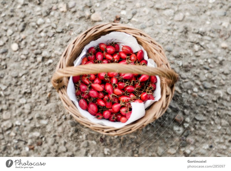 Hagebutten Bioprodukte Natur Herbst frisch grau rot herbstlich Korb Ernte Frucht natürlich Sammlung Farbfoto Außenaufnahme Textfreiraum links