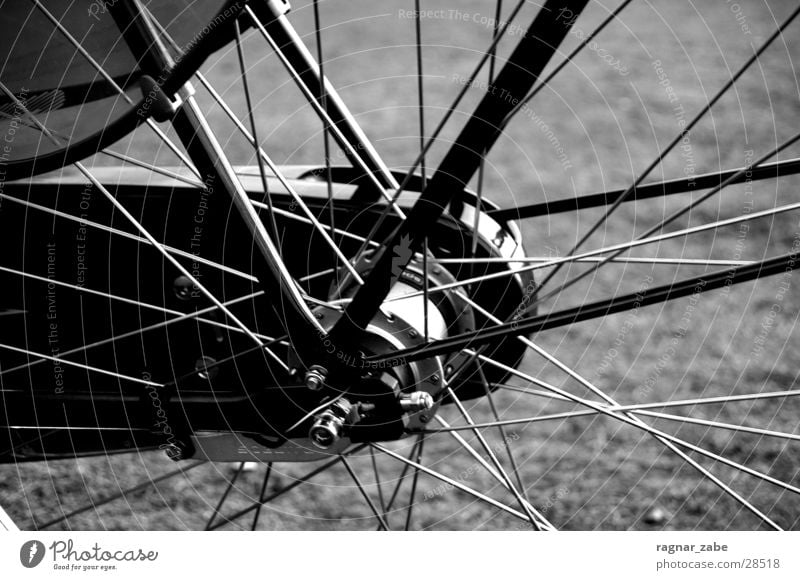 wheel Gazellen Fahrrad Freizeit & Hobby primeur Schwarzweißfoto Kontrast Speichen