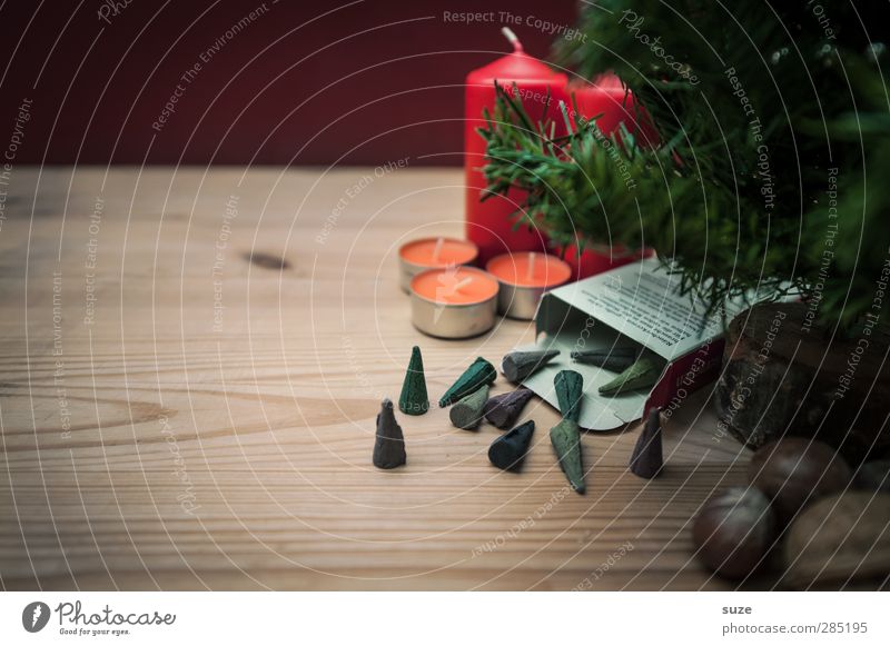 Die Wichtel sind los. Dekoration & Verzierung Feste & Feiern Weihnachten & Advent Kerze Holz authentisch Duft schön Kitsch klein natürlich braun grün rot