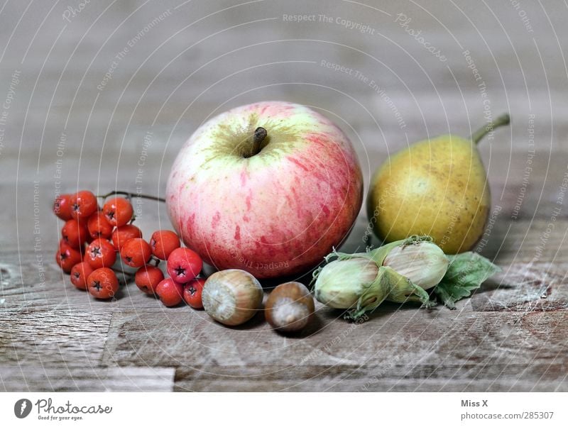 Herbstleben Lebensmittel Frucht Apfel Ernährung Erntedankfest Pflanze Blatt Gesundheit Holztisch Birne Vogelbeeren Beeren Haselnuss Nuss Stillleben herbstlich