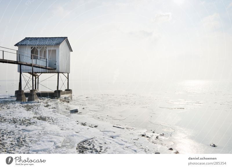 Das Weiße Haus - das Echte !! Schönes Wetter Eis Frost Küste Seeufer Hütte hell blau weiß skurril Bodensee Gedeckte Farben Außenaufnahme Menschenleer