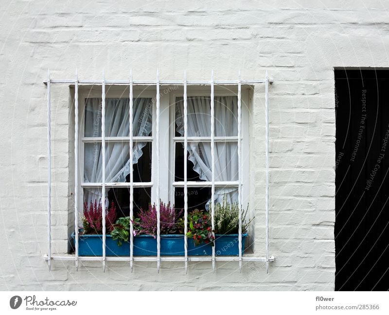 Gitterfenster Menschenleer Haus Bauwerk Gebäude Fenster Beton Metall alt hell blau schwarz weiß Tür Blumenkasten Wand Steinmauer Farbfoto Gedeckte Farben