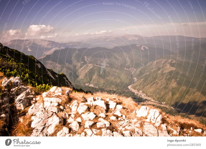 Ferne sehen Umwelt Natur Landschaft Pflanze Sommer Wetter Schönes Wetter Felsen Berge u. Gebirge Rumänien Siebenbürgen Karpaten Abenteuer Aussicht Gipfel Tal