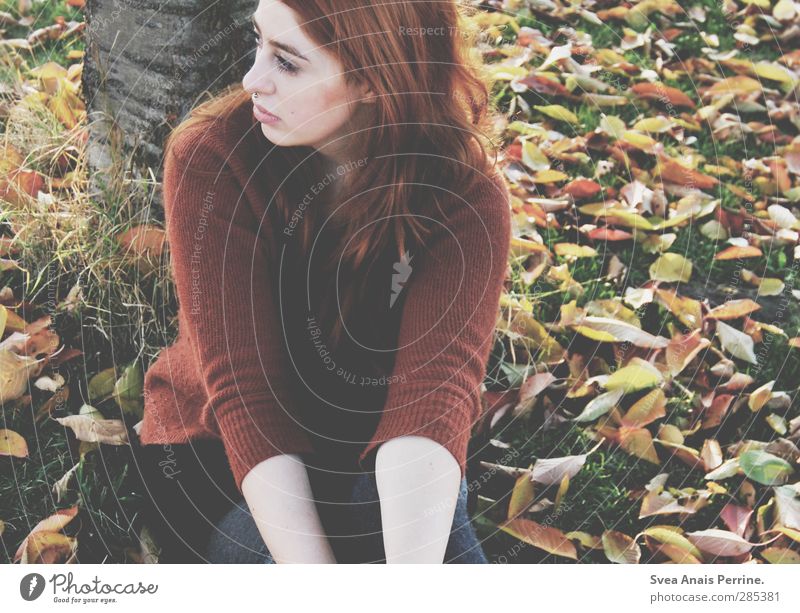 frau herbst. feminin Gesicht 1 Mensch 18-30 Jahre Jugendliche Erwachsene Umwelt Natur Herbst Blatt Wiese Baumstamm Park Rock Pullover Haare & Frisuren rothaarig