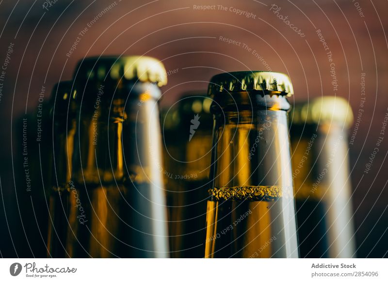 Gruppe von Bierflaschen schießen mit selektivem Fokus Alkohol Getränk Unschärfe Flasche Brauerei Backstein kalt Coolness Handwerk dunkel trinken Schaum