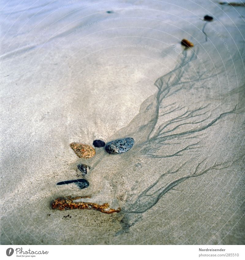 Kleine Welten Wellness Leben harmonisch Sinnesorgane ruhig Meditation Strand Meer Natur Urelemente Wasser Küste Stein Sand fest Flüssigkeit klein demütig