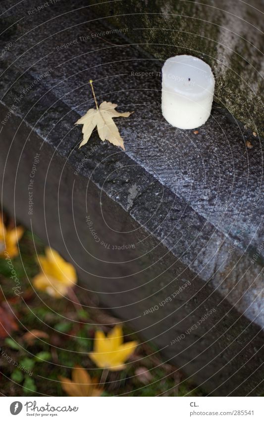 kerze Natur Erde Herbst schlechtes Wetter Regen Blatt Stein Traurigkeit kalt nass trist Gefühle Mitgefühl Güte Menschlichkeit trösten ruhig Glaube Trauer Tod