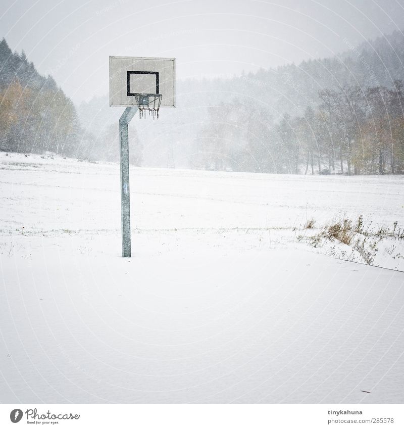 Game Over Ballsport Basketball Basketballplatz Landschaft Winter Unwetter Schneefall Wiese Wald kalt trist Einsamkeit Ende Langeweile Gedeckte Farben