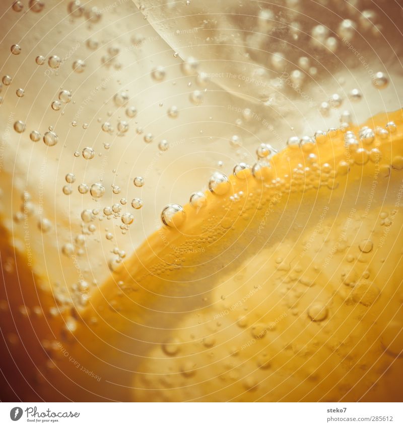 der Sommer wurde kaltgestellt Wasser frisch Gesundheit orange Eis Getränk Kohlensäure prickeln sommerlich Farbfoto Makroaufnahme Menschenleer Textfreiraum oben