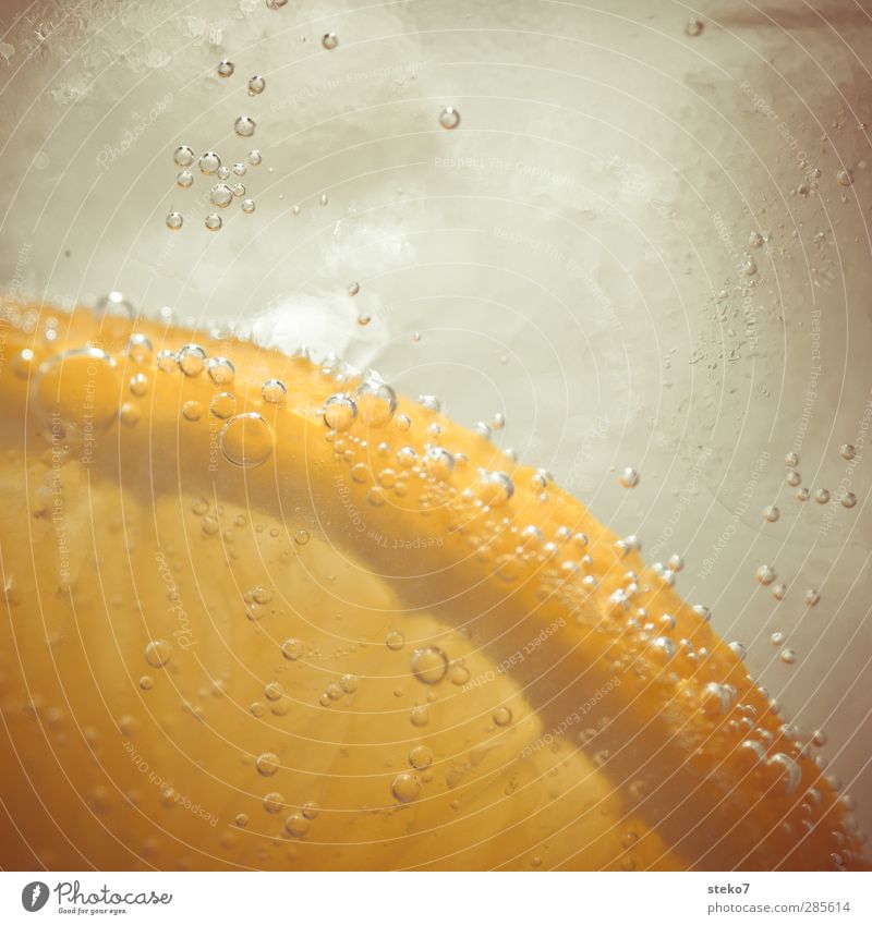 der Sommer wurde kaltgestellt II Wasser frisch orange Getränk Eis Kohlensäure prickeln sommerlich Farbfoto Makroaufnahme Menschenleer Textfreiraum oben
