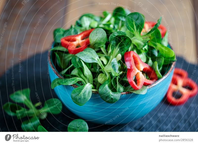 Salat Lebensmittel Salatbeilage Ernährung Bioprodukte Vegetarische Ernährung Diät Fasten Geschirr Schalen & Schüsseln Lifestyle Gesundheit Gesunde Ernährung