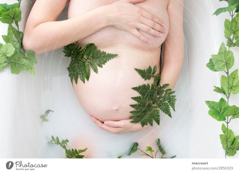 Milchbadshooting schwangerschaftsshooting babybauchshooting Efeu farn pflanzlich Pflanze grün körperteil Frau weiblich teilakt Photo-Shooting natürlich nackt