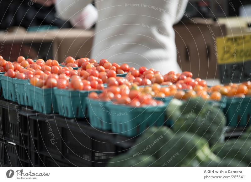 down at the market Lebensmittel Gemüse Tomate Bioprodukte Vegetarische Ernährung Fasten frisch Gesundheit Zusammensein Markt verkaufen Präsentation