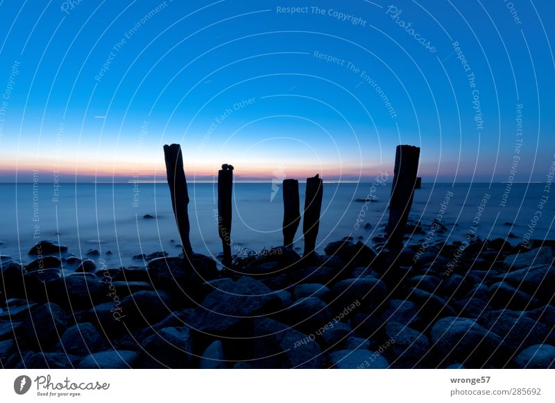 Morgendämmerung am Kap II Natur Himmel Wolkenloser Himmel Stern Horizont Sonnenaufgang Sonnenuntergang Frühling Schönes Wetter Küste Strand Ostsee Einsamkeit