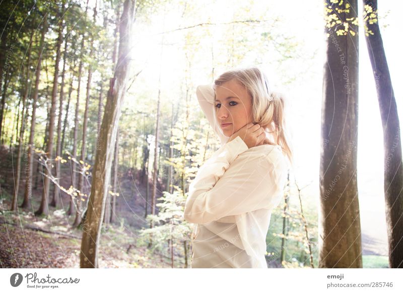 Herbstsonne feminin Junge Frau Jugendliche 1 Mensch 18-30 Jahre Erwachsene Umwelt Natur Wald blond schön natürlich Farbfoto Außenaufnahme Tag Sonnenlicht