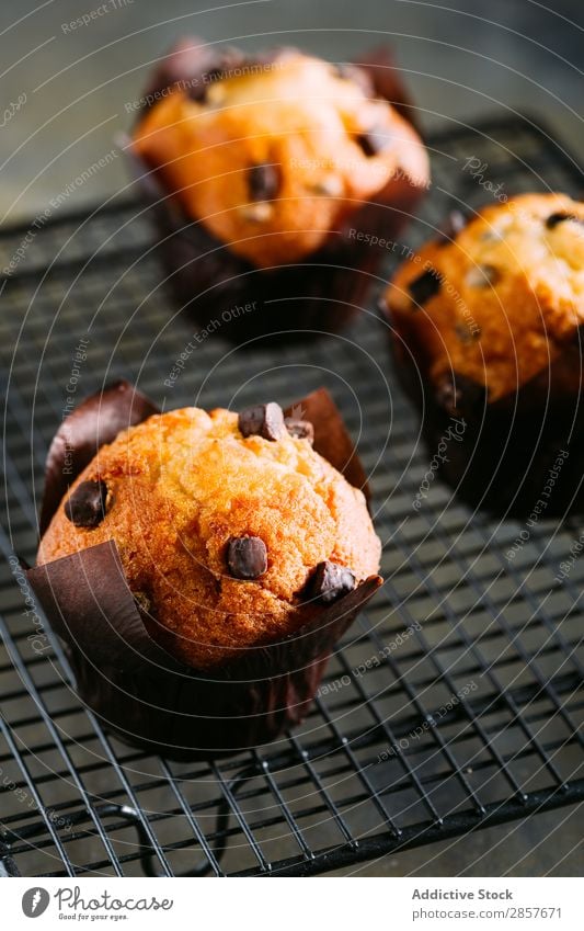 Schokoladen-Muffins backen Buch Frühstück Kuchen Kakao Cupcake Dessert Lebensmittel handmande gebastelt Serviette rustikal süß