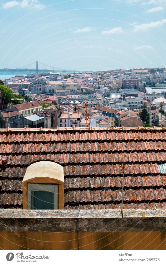 Around the World | Lisboa Lissabon Portugal Stadt Hauptstadt Stadtzentrum Altstadt Skyline Dach ästhetisch Farbfoto
