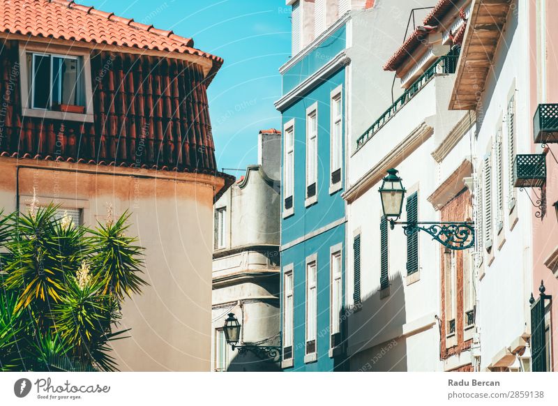 Bunte Gebäude in der schmalen Straße in Cascais City of Portugal Stadt Lissabon Großstadt blau Sommer Himmel Ferien & Urlaub & Reisen Landschaft Architektur