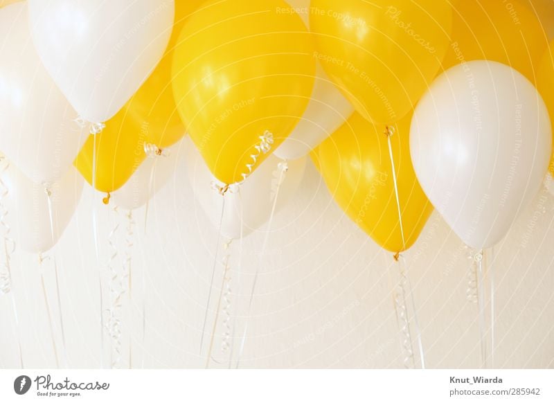 Luftballons - baloons Feste & Feiern Geburtstag hell viele gelb weiß Freude Farbe Zusammenhalt mehrfarbig Schweben Schnur Party zweifarbig Farbfoto