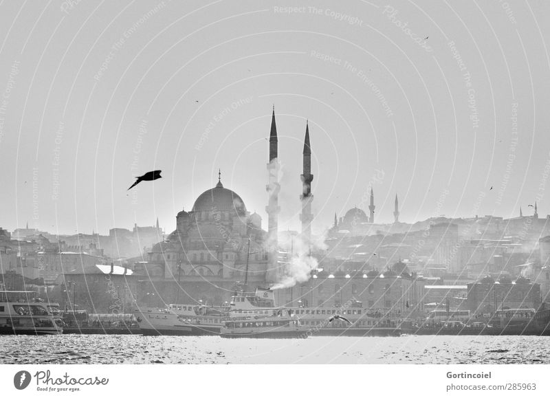 Neue Moschee Küste Bucht Meer Stadt Bauwerk Gebäude Sehenswürdigkeit alt Bekanntheit historisch Istanbul Türkei Bosporus Wasserfahrzeug Gotteshäuser Minarett
