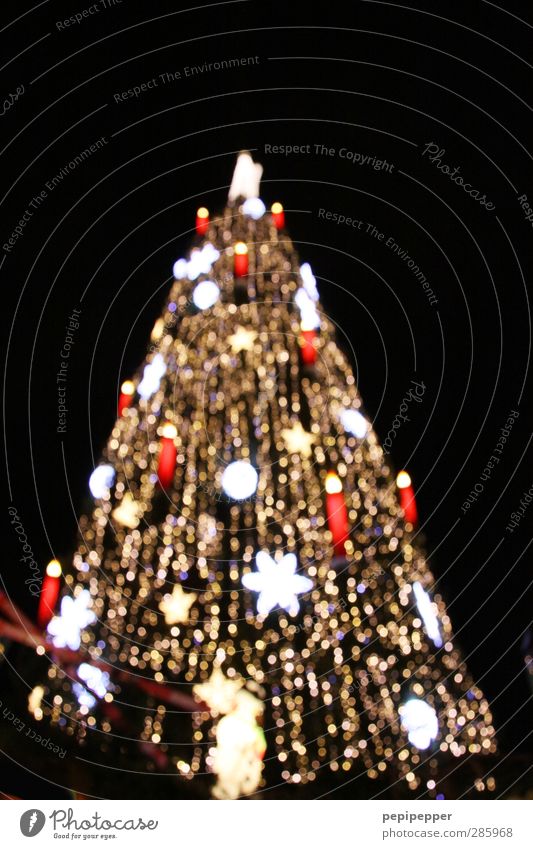 ^ elegant Stil Winter Feste & Feiern Weihnachten & Advent Nachthimmel Baum Stadt Stadtzentrum Sehenswürdigkeit Dekoration & Verzierung Kerze Kitsch Krimskrams