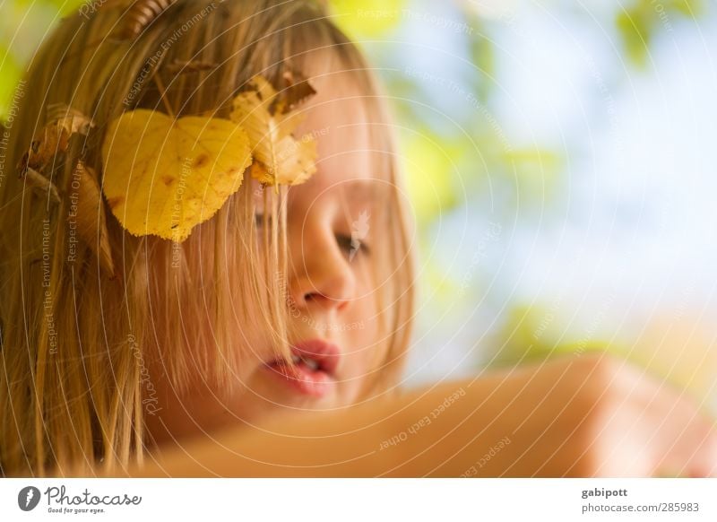 Little Miss Sunshine Mensch feminin Mädchen Kindheit Leben Kopf Gesicht 1 3-8 Jahre Sonne Herbst Schönes Wetter Blatt Spielen träumen blond frech Freundlichkeit