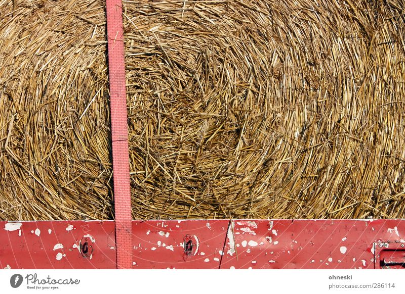 Futter Wirtschaft Landwirtschaft Forstwirtschaft Stroh Heu Gras Anhänger stachelig Befestigung Farbfoto Außenaufnahme Strukturen & Formen Menschenleer
